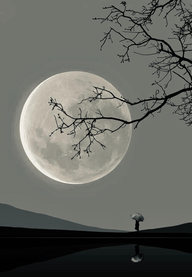 Luna tra i rami Luna tra i rami e uomo con ombrello