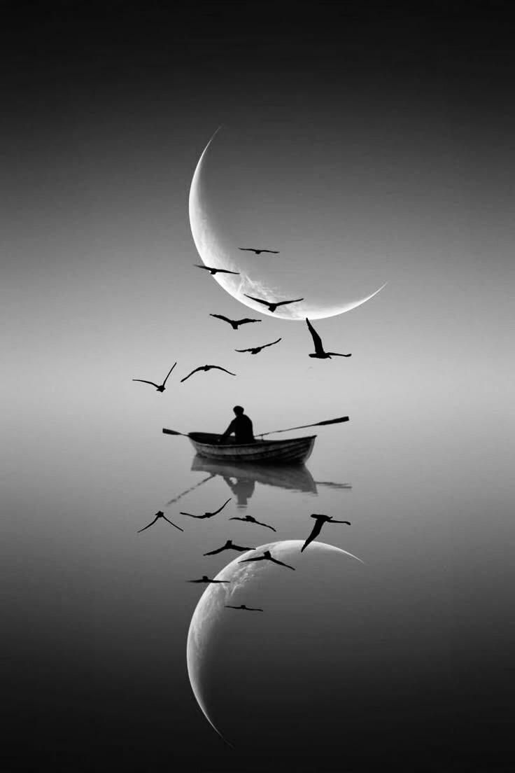 barca a remi con luna barca a remi con luna, uccelli e riflessi nell'acqua